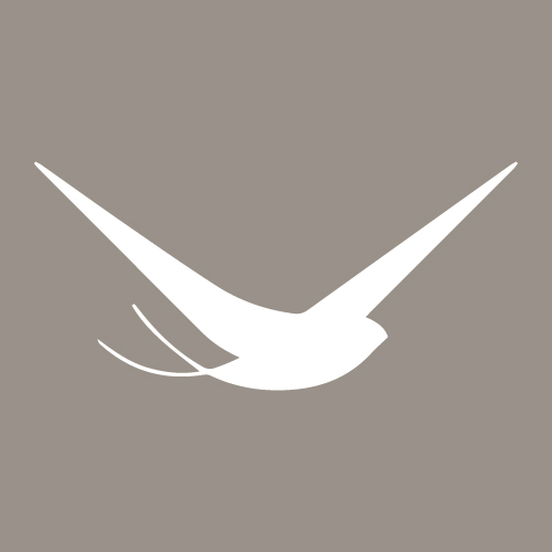 Liliana Photographie